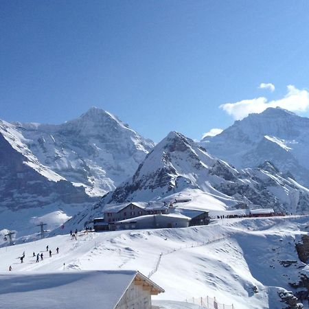 Jungfrauview Appartement Wengen Buitenkant foto