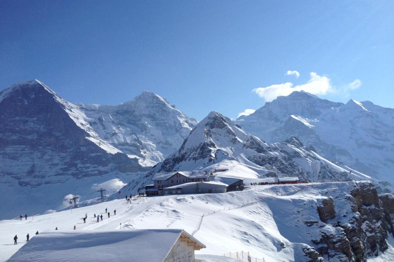 Jungfrauview Appartement Wengen Buitenkant foto